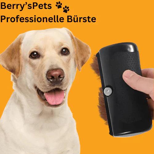 🔥2025 NEW SALES - 50% OFF🔥Pet Professional brush🐶🐱💥 - clarioy