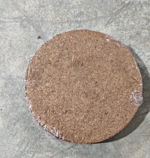 Round compressed coco coir brick on concrete, eco-friendly homeware accessory from clarioy.