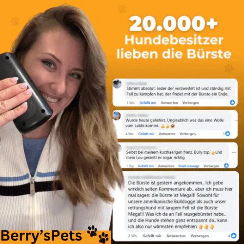 🔥2025 NEW SALES - 50% OFF🔥Pet Professional brush🐶🐱💥 - clarioy