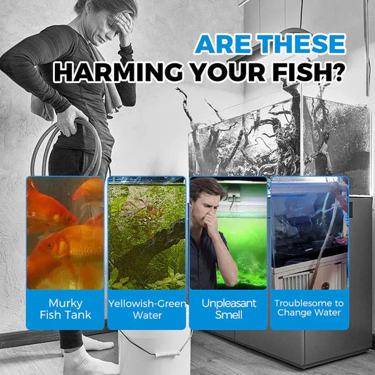 Woman frustrated by dirty fish tank, showing murky water, algae, bad smell, and cleaning issues