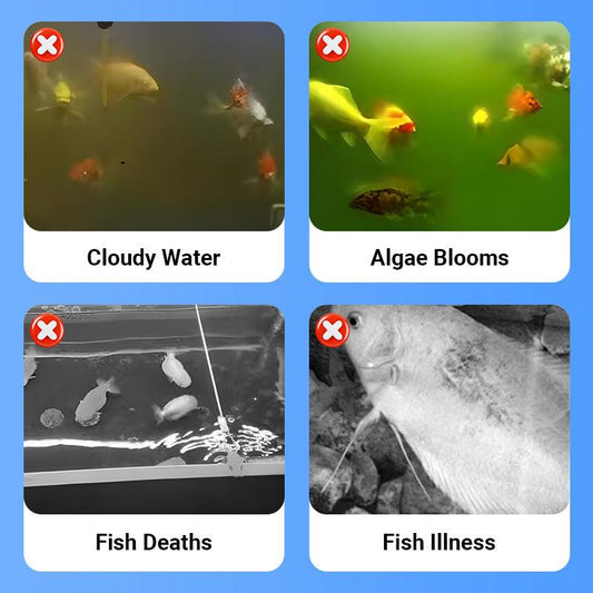 Aquarium issues chart showing cloudy water, algae blooms, fish deaths, and fish illness for clarioy.