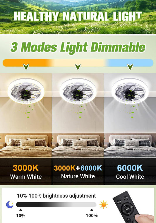 2-in-1 Mute Adjustable Fan Light with Remote Control - clarioy