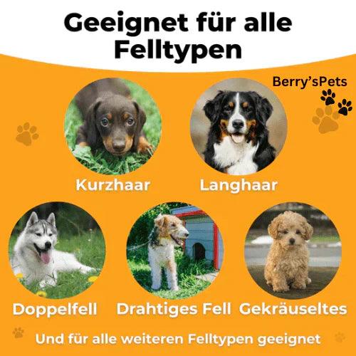 🔥2025 NEW SALES - 50% OFF🔥Pet Professional brush🐶🐱💥 - clarioy