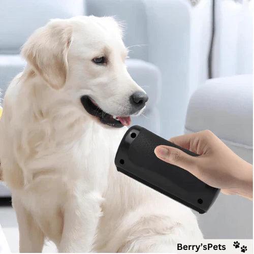 🔥2025 NEW SALES - 50% OFF🔥Pet Professional brush🐶🐱💥 - clarioy