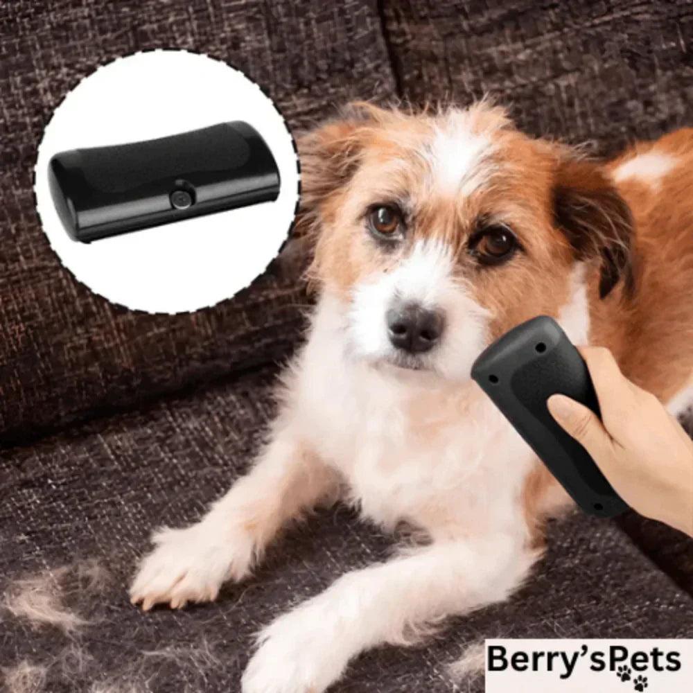🔥2025 NEW SALES - 50% OFF🔥Pet Professional brush🐶🐱💥 - clarioy