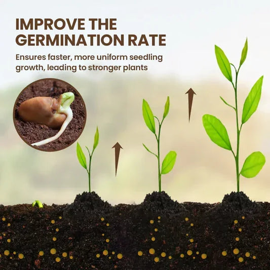 Seedling germination stages in soil with green plants, emphasizing improved growth and strong roots.