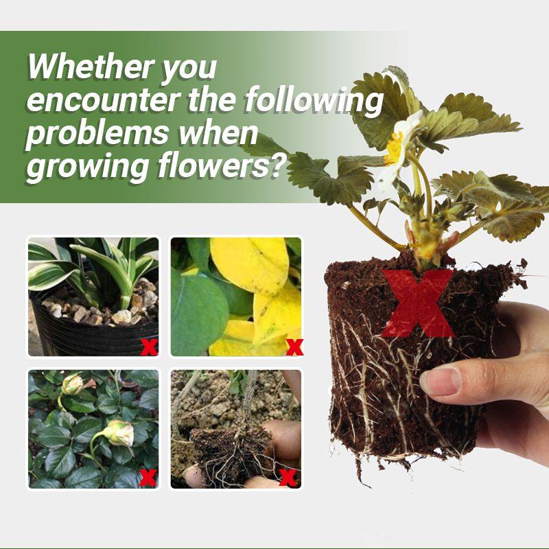 Special Bone Meal Organic Fertilizer - Promote The Growth of Flowers and Fruits - clarioy