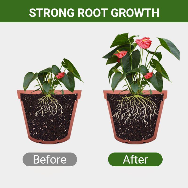 Special Bone Meal Organic Fertilizer - Promote The Growth of Flowers and Fruits - clarioy