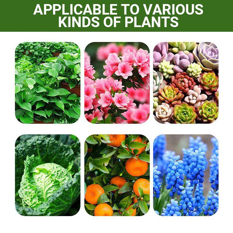 Special Bone Meal Organic Fertilizer - Promote The Growth of Flowers and Fruits - clarioy