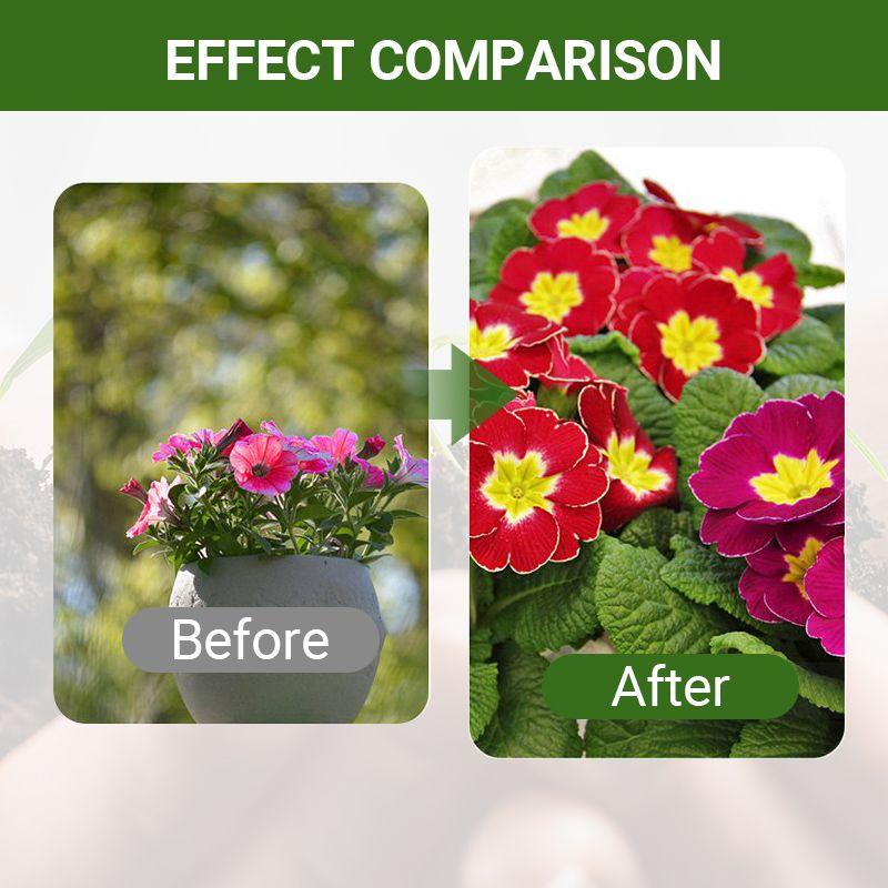 Special Bone Meal Organic Fertilizer - Promote The Growth of Flowers and Fruits - clarioy