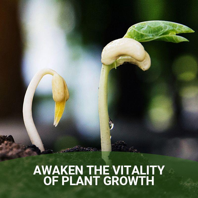 Special Bone Meal Organic Fertilizer - Promote The Growth of Flowers and Fruits - clarioy