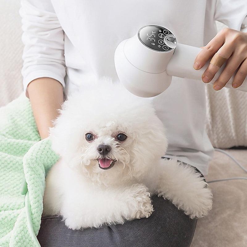 🎁HOT SALE ⏳Low Noise Pet Hair Dryer with Slicker Brush - clarioy