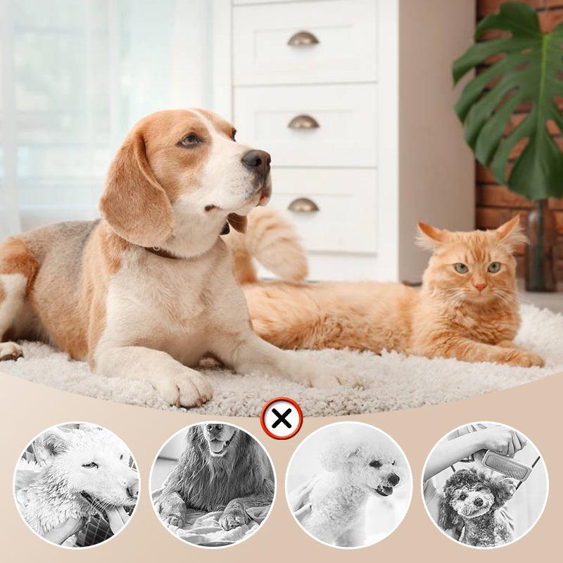🎁HOT SALE ⏳Low Noise Pet Hair Dryer with Slicker Brush - clarioy