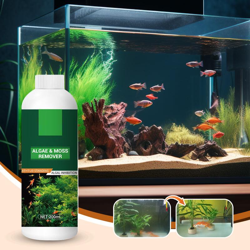🎉Buy More Save More💥 Algae & Moss Remover for Fish Tank and Fish Pond - Safe Water Purification - clarioy