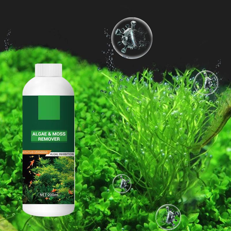🎉Buy More Save More💥 Algae & Moss Remover for Fish Tank and Fish Pond - Safe Water Purification - clarioy