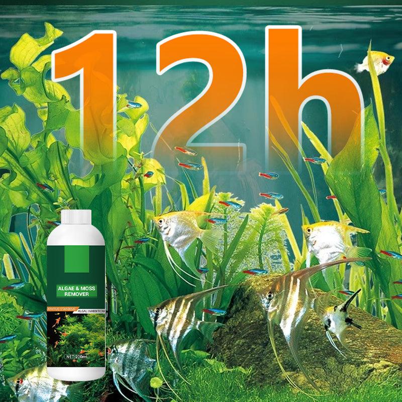 🎉Buy More Save More💥 Algae & Moss Remover for Fish Tank and Fish Pond - Safe Water Purification - clarioy