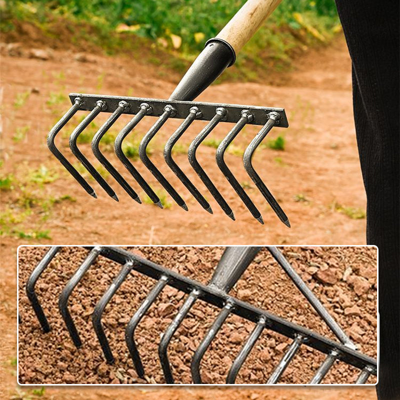 Agricultural Nail Harrow