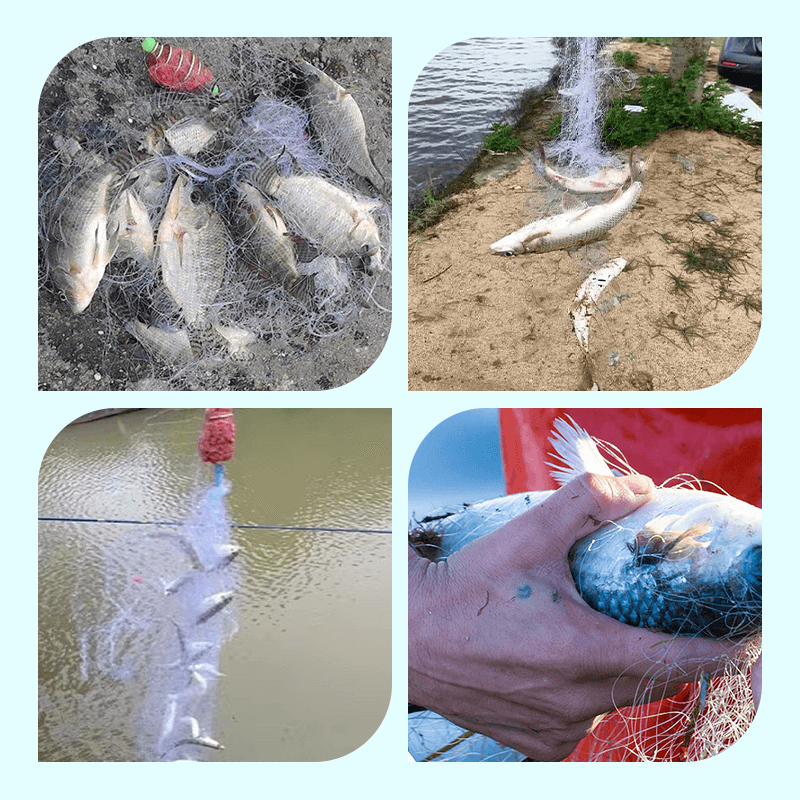 🔥2025 Hot Sale 49% Off🔥Fishing Gill Net with Spring Bait Trap