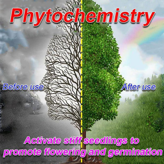 Phytochemistry plant growth effect comparison, before and after use, showing improved green foliage.