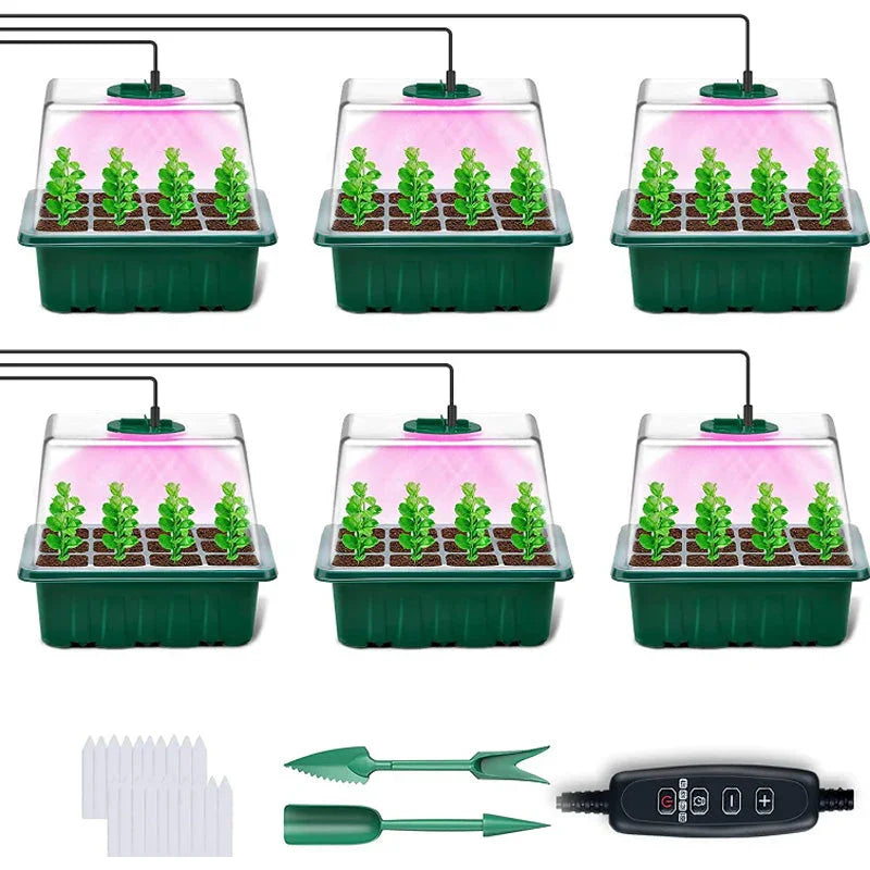 💎50% OFF! 💎 Grow Trays with Grow Light – Humidity Control, Transparent, and Full-Spectrum Light 🌱💡