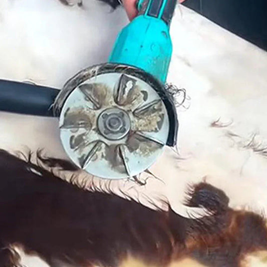 Electric animal clipper trimming brown fur on livestock, professional grooming tool