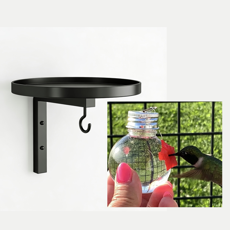Wall-Mounted Metal Bird Bath โ Antique Bronze Finish ๐ฆ๐๐งฑ๐ก