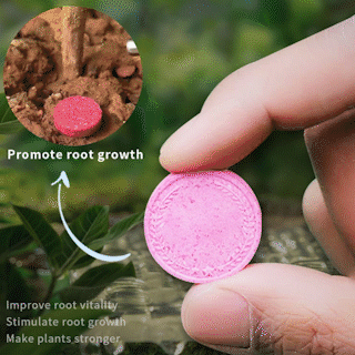 Hand holding pink plant root growth tablet, promotes root vitality and plant strength, clarioy homeware.