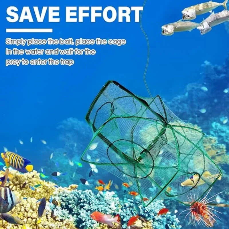 🚨 50% OFF! 🚨 Automatic folding net for anglers – reinforced nylon fishing net, landing net with telescopic handle 🎣✨