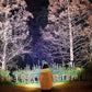 Person in beige winter coat standing outdoors at night with illuminated trees and bushes