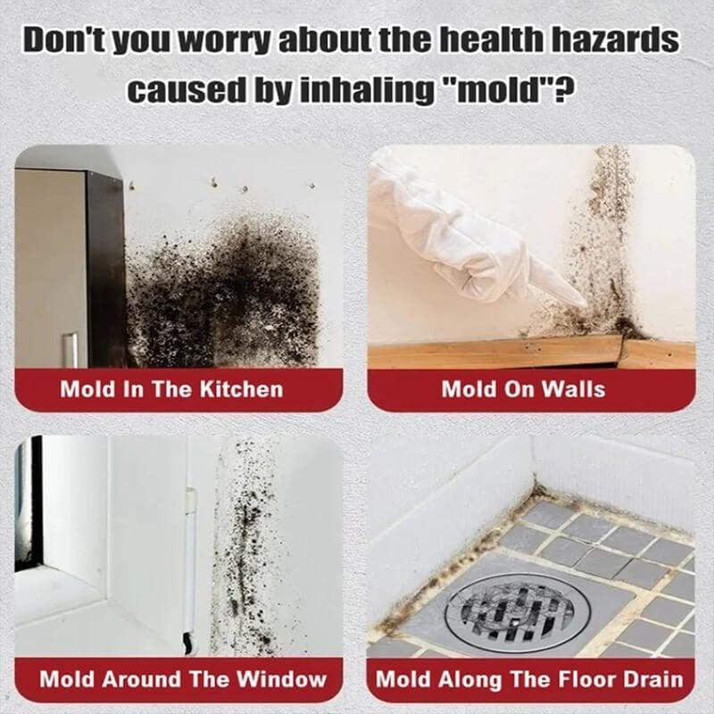 Mold growth on kitchen walls, windows, and floor drains, highlighting home health hazards.