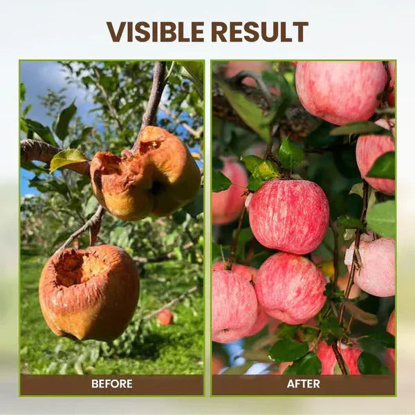 Before and after comparison of apples on a tree, showing damaged fruit versus healthy red apples
