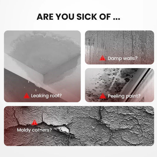 Leaking roof, damp walls, peeling paint, and moldy corners in home with waterproofing issues