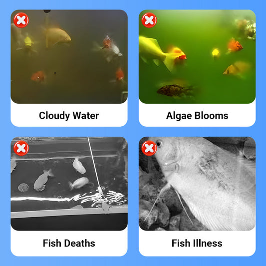🔥Hot Sale🔥Powerful Aquarium Water Clarifier