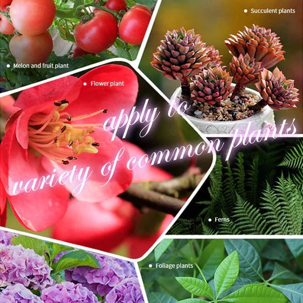Collage of succulent plants, melon fruit plants, flower plant, ferns, foliage plants with text 'apply to variety of common plants'