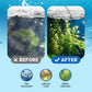 🔥Hot Sale🔥Powerful Aquarium Water Clarifier