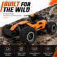 Race Any Terrain Instantly! No-Bump 4WD LED RC Car