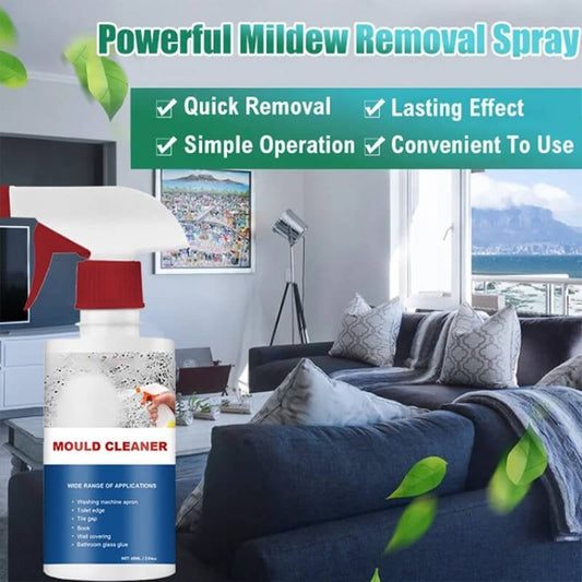 🔥Buy 2 Get 1 Free🔥Mould & Mildew Removing Foam Spray - clarioy