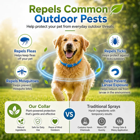 ⏰🔥LIMITED TIME 50% OFF!🔥50K+ SOLD! Natural Essential Oil Pet Pest Repellent Collar