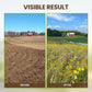 Before and after of rural field by red barn, showing barren soil versus blooming wildflowers