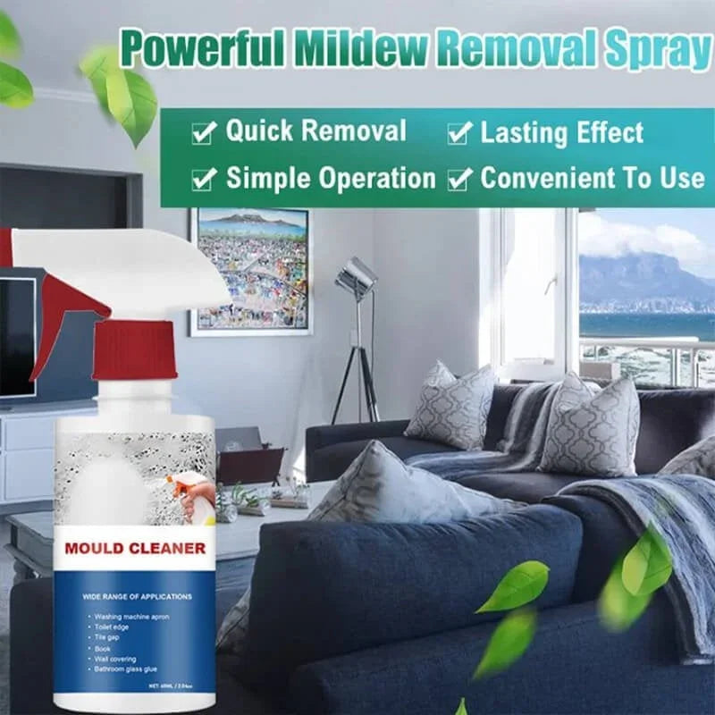 Powerful mildew removal spray bottle in modern living room, mould cleaner for home use