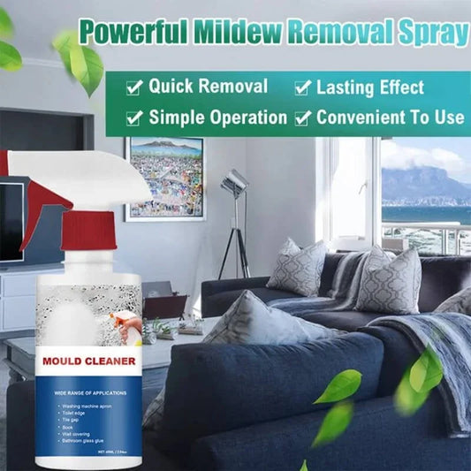 Powerful mildew removal spray bottle in modern living room, mould cleaner for home use