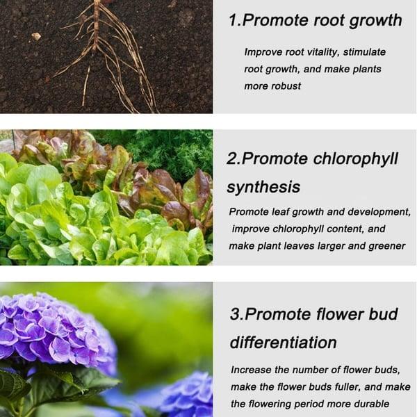 Infographic showing root growth, leafy greens, and purple flowers with plant growth benefits.