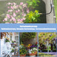 🌱50% OFF! 💧 Automatic Garden Irrigation System – 360° Adjustable, Misting, Water-Saving, Complete Set ✨