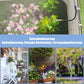 Automatic garden irrigation system watering flowers, patio and terrace plants outdoors