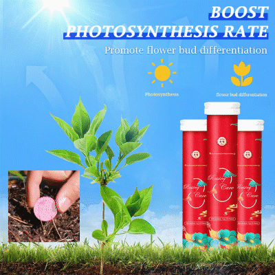 Plant fertilizer tablets, red packaging, boosting photosynthesis rate near green seedling outdoors