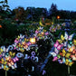 Colorful LED butterfly garden lights and flowers at night, decorative outdoor homeware from clarioy