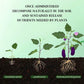 Plant growth stages in soil showing germination, growth, flowering, and fruiting with nutrient release