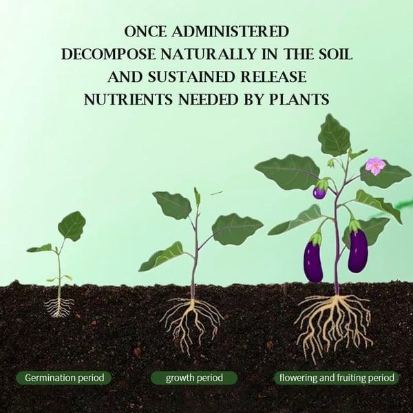 Plant growth stages in soil showing germination, growth, flowering, and fruiting with nutrient release