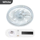 2-in-1 Mute Adjustable Fan Light with Remote Control - clarioy