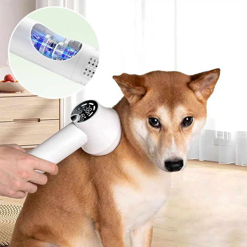 🎁HOT SALE ⏳Low Noise Pet Hair Dryer with Slicker Brush